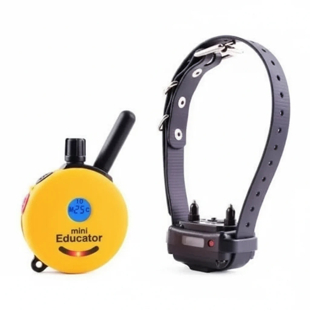 Pet E-Collars