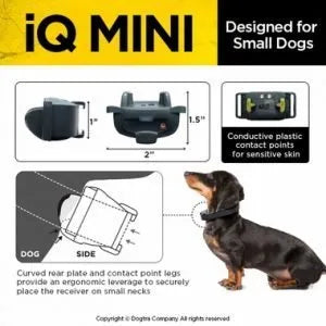 Dogtra IQ Mini Dog Training E-Collar UK Adaptor