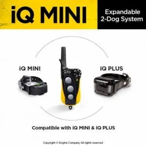 Dogtra IQ Mini Dog Training E-Collar UK Adaptor