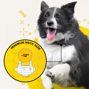 Dogtra IQ Plus Dog Training E-Collar UK Adaptor