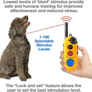 EZ-900 Easy Educator Dog E-Collar UK Adaptor