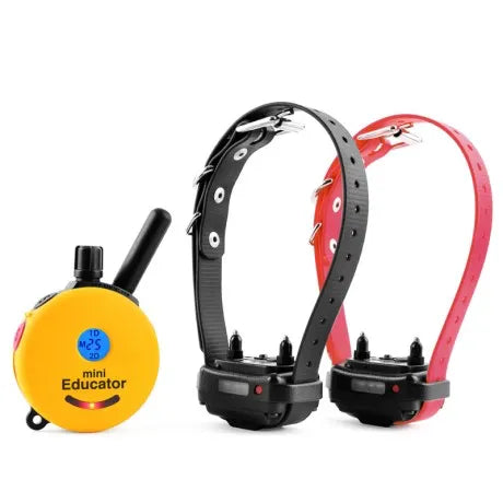 ET-302 Mini Educator 2 Dog E-Collar Remote Trainer UK Adaptor